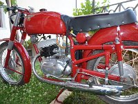 Favolosi anni 50 (237)